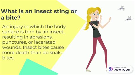 Allergic Reaction And Insect Stings And Bites Youtube