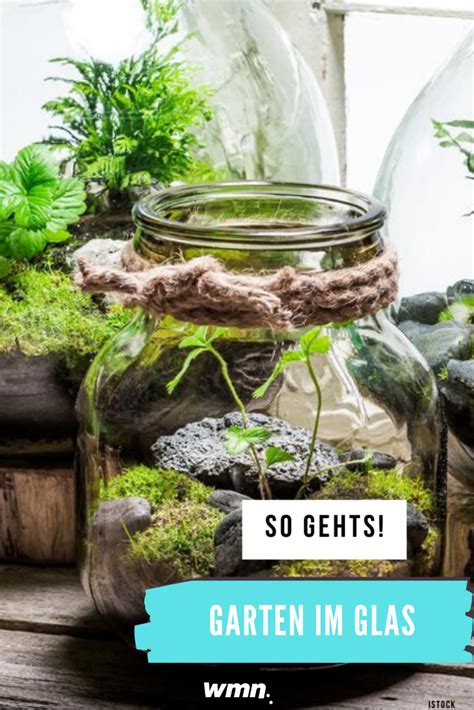 Farbenfrohe gartenstelen als blickfang in jedem garten. DIY: Garten im Glas in 2020 | Minibiotop, Garten, Pflanzen ...