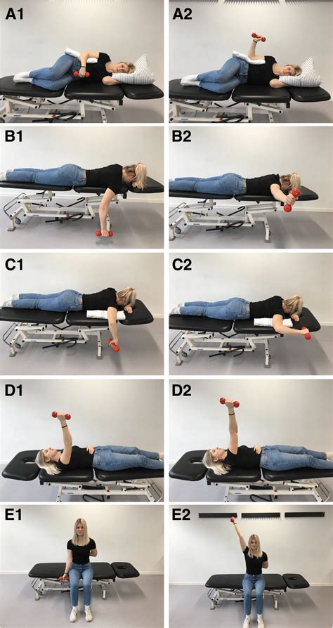 The Exercise Programme Included Five Exercises Targeting Scapular And Download Scientific