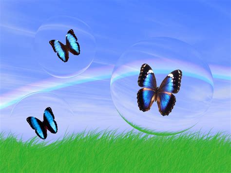 Butterfly Wallpapers ~ Top Best Hd Wallpapers For Desktop