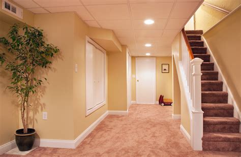 Basement Remodel Philadelphia Traditional Basement Philadelphia