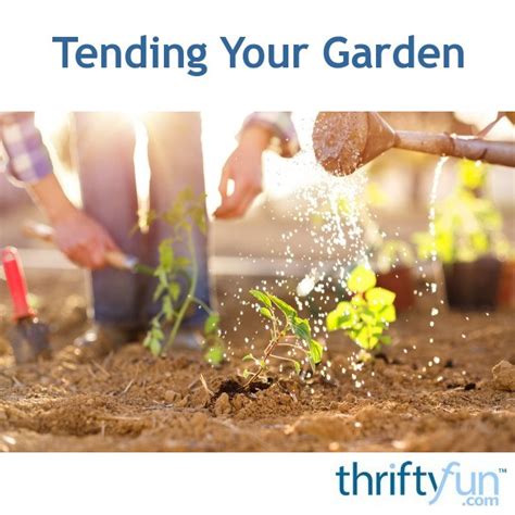 Tending Your Garden Thriftyfun