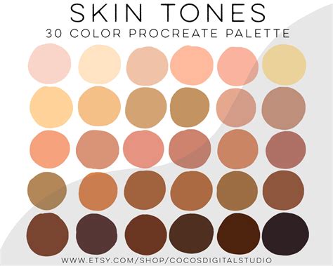 Skin Tones Color Palette Swatches Procreate Skin Tone Etsy UK