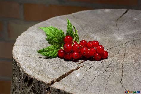 It should be noted that the guelder rose, viburnum opulus, despite growing to a much larger size than red currant plants, is also a shrub with are red currants good for diabetics? Berries red currants red currants on the stump currant № 33218