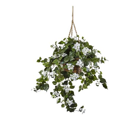 Pin by lauren . on pngs | Hanging plants, Artificial hanging baskets png image