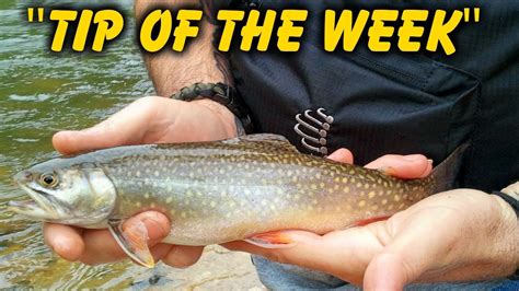 5 Cool Fishing Related Tips Tip Of The Week E30 Youtube