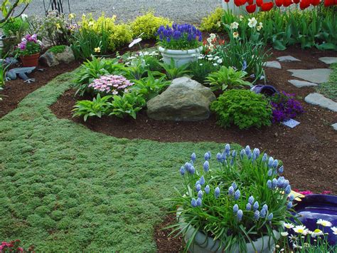 16 Spreading Plants For Paved Areas Lawn Alternatives Front Yard