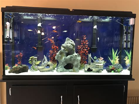 60 Gallon Fresh Water Aquarium Tropical Fish Tanks Tropical Fish
