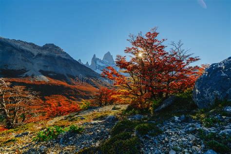 Das wort landschaft wird vor allem in zwei bedeutungen verwendet. Helle Farben Des Herbstes Und Landschaften Des Parks Los ...