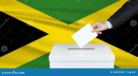 election in jamaica the hand of man putting his vote in the ballot box waved jamaica flag on