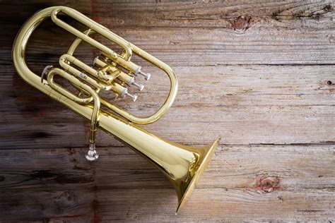 12 Different Types Of Tubas Plus Interesting Facts