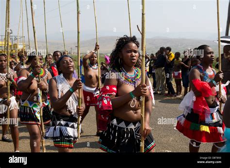 zulu jungfrauen liefern schilf stöcke an den könig zulu reed dance im enyokeni palace nongoma