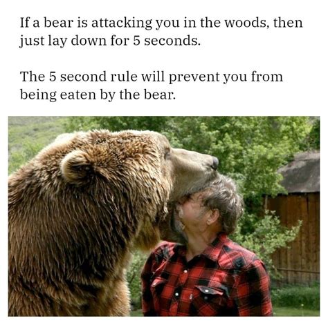 Advice When A Bear Attacks You Rmemes