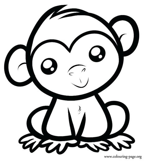 Spider Monkey Drawing At Getdrawings Free Download