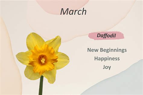 Birth Month Flowers And Their Meanings Flower Station