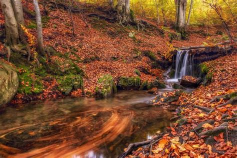 A Bright Beautiful Autumn In The Forest A River With A Waterfall