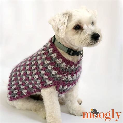 Well Dressed Dog Coat Pattern By Tamara Kelly Dog Sweater Crochet