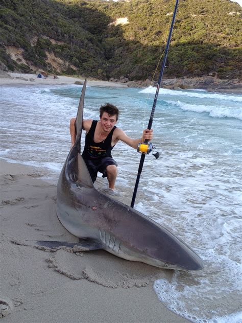 South Coast Sharks Got The Big Ones Fishing