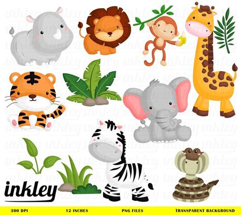 Jungle Animal Clipart Cute Animal Safari Clipart Free Svg On