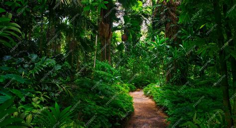 Premium Photo Tropical Jungles Of Southeast Asia