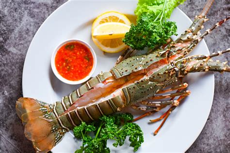 Lobster Berduri Sashimi Seafood Lobster Segar Atau Lobster Batu Dengan