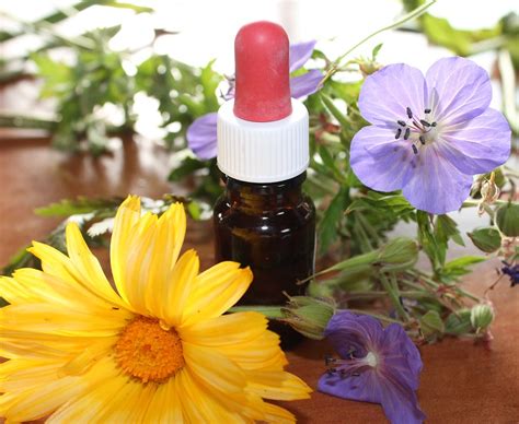 Impotenza: i Rimedi Naturali per Sconfiggerla Per Sempre