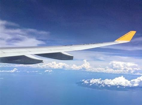 Cebu Pacific A Flight Review Manila To Davao Round Trip Hot Sex Picture