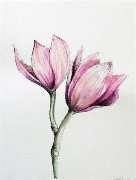 Realistic Flower Drawing At Getdrawings Free Download