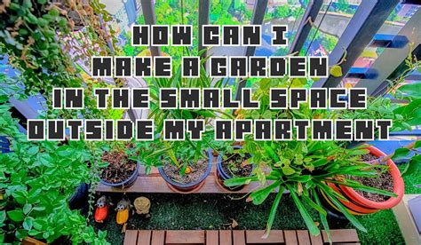 How Can I Make A Garden In The Small Space Outside My Apartment