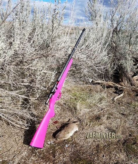Savage Rascal 22 Long Rifle Review And Hunt Report Varminter Magazine