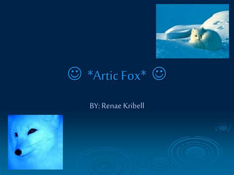 Ppt Artic Fox Powerpoint Presentation Free Download Id5518227