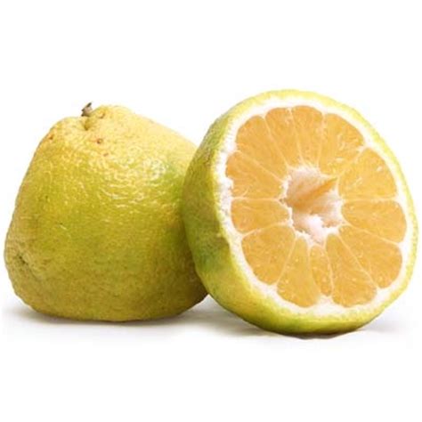 The ugli orange exercise this ugli orange exercise is a role play that simulates a conflict situation. Ugli Fruit