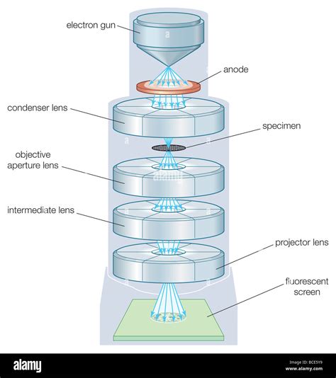 Principle Of Transmission Electron Microscope