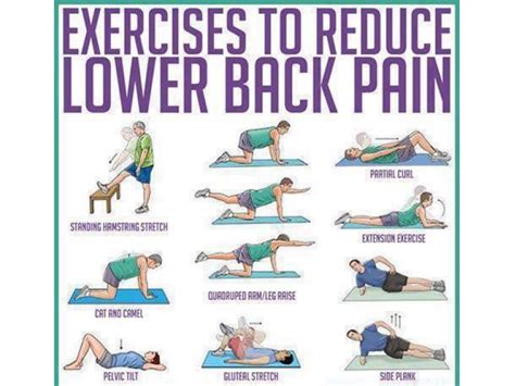 Exercises To Reduce Low Back Pain By Dr Jeff Langmaid