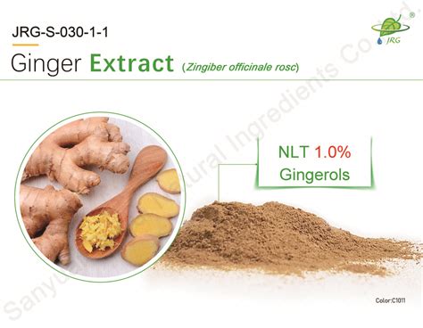 Ginger Extract Jinrui Group