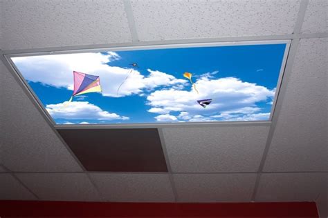 Vandal resistant & outdoor lenses. Skypanels Turn Your Ceiling Light Panels Into An Image Of ...