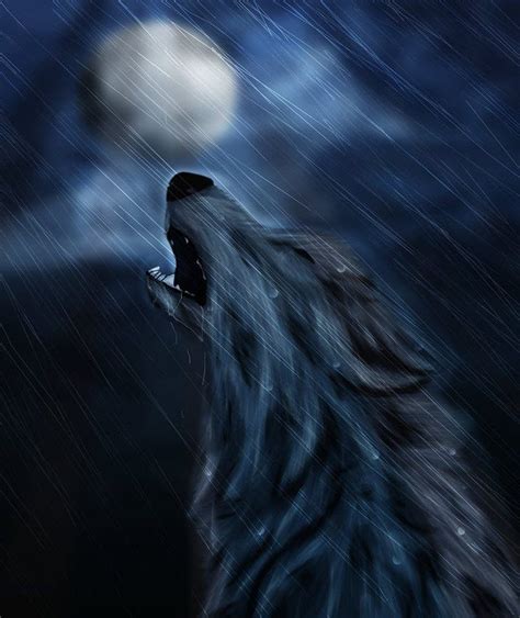 Drawn Howling Wolf Sad Anime Pencil And In Color Drawn Howling Rain