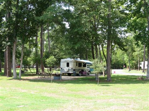 Camping In National Forests In North Carolina Carolina Outdoors Guide
