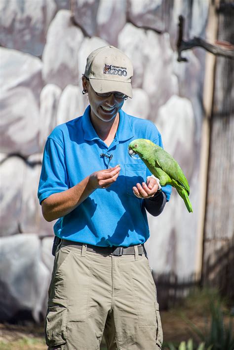Fresno Chaffee Zoo - Winged Wonders Bird Show - Yellow-nap… | Flickr