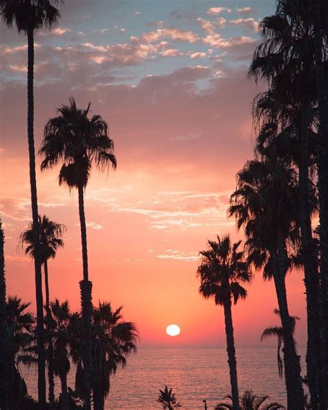 La Jolla San Diego California By Debodoes California Palm Trees