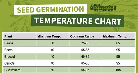 The Beginner Gardener S Seed Germination Temperature Chart Food Gardening Network