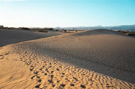 Sand Dunes Of Maspalomas Nature Reserve Stock Image Image Of Islands