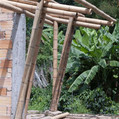 Colombia House Estructura Para Vivienda Bambusa Estudio Bamboo
