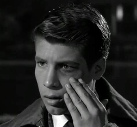 Don Grady Dies At Age 68, Photos Of The 'My Three Sons' Actor's