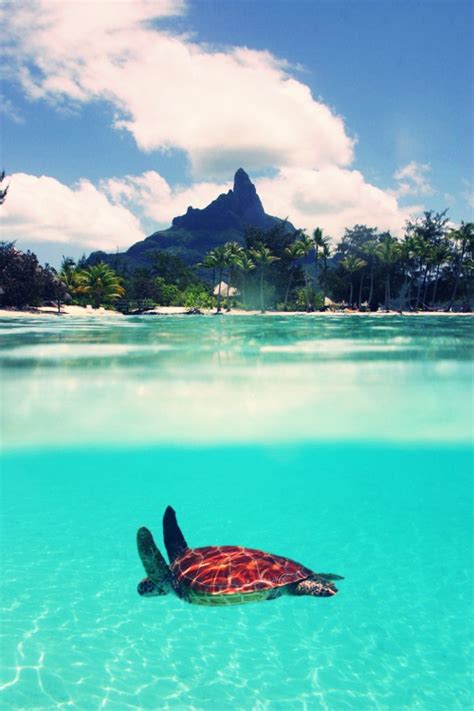 Bora Bora Island One Of The Most Exotic And Romantic Islands Top