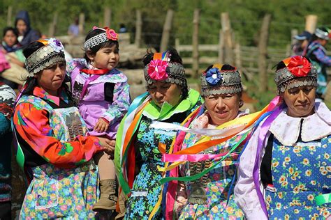 Mapuche Ejemplo De Lucha Y Amor A La Patria Para Los Indígenas