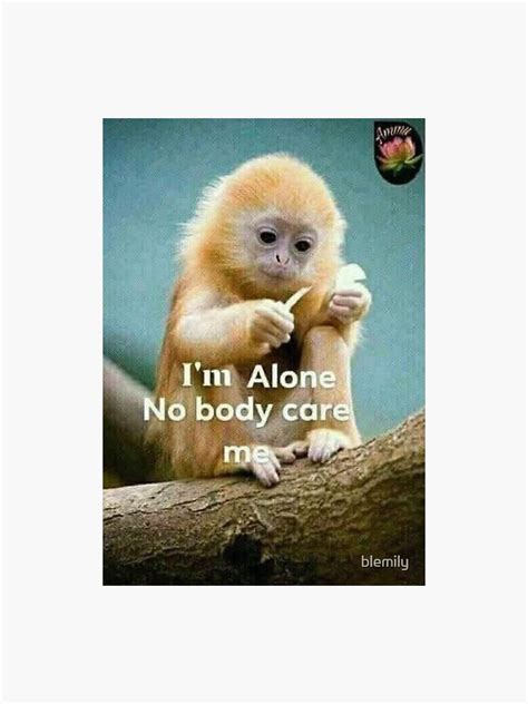 Im Alone Nobody Care Me Sticker For Sale By Blemily Redbubble