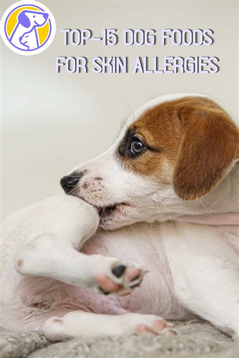Best Dog Food For Skin Allergies In 2021 Dog Skin Allergies Dog Skin