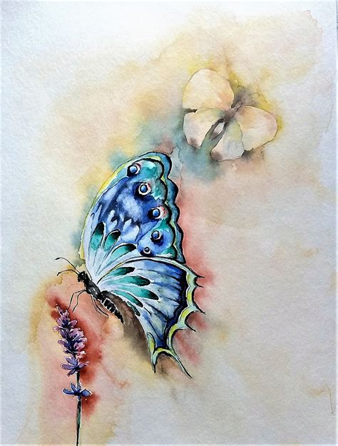 Aquarell, Schmetterling, Lavendel | Schmetterling aquarell ...