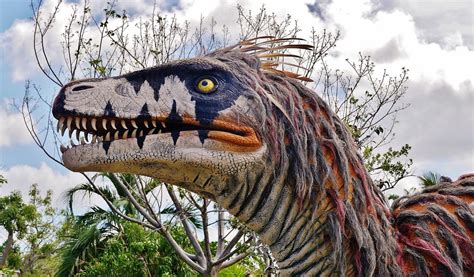 Utahraptor ist lediglich durch sehr fragmentarische überreste bekannt, die im östlichen utah entdeckt wurden und in die unterkreide datiert werden. Utahraptor (Utahraptor ostrommaysorum) | Naples Botanical ...